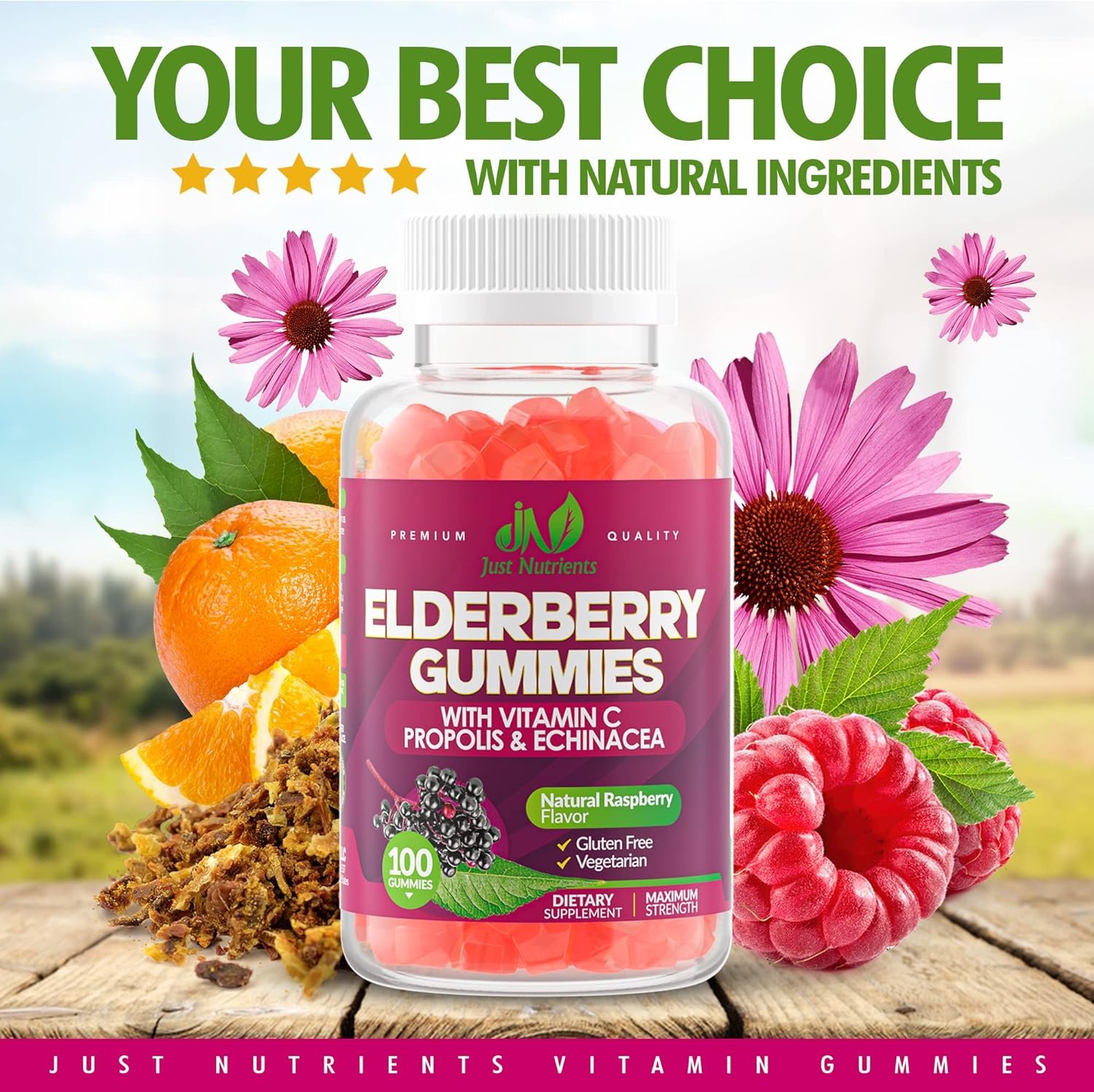 Elderberry 200mg Gummies with Vitamin C, Echinacea, Propolis (100 count) - Immune Support for Adults & Kids - Maximum Strength, Great Tasting Raspberry Flavor - Gluten-Free, Vegan - 100 Gummies - Image 4