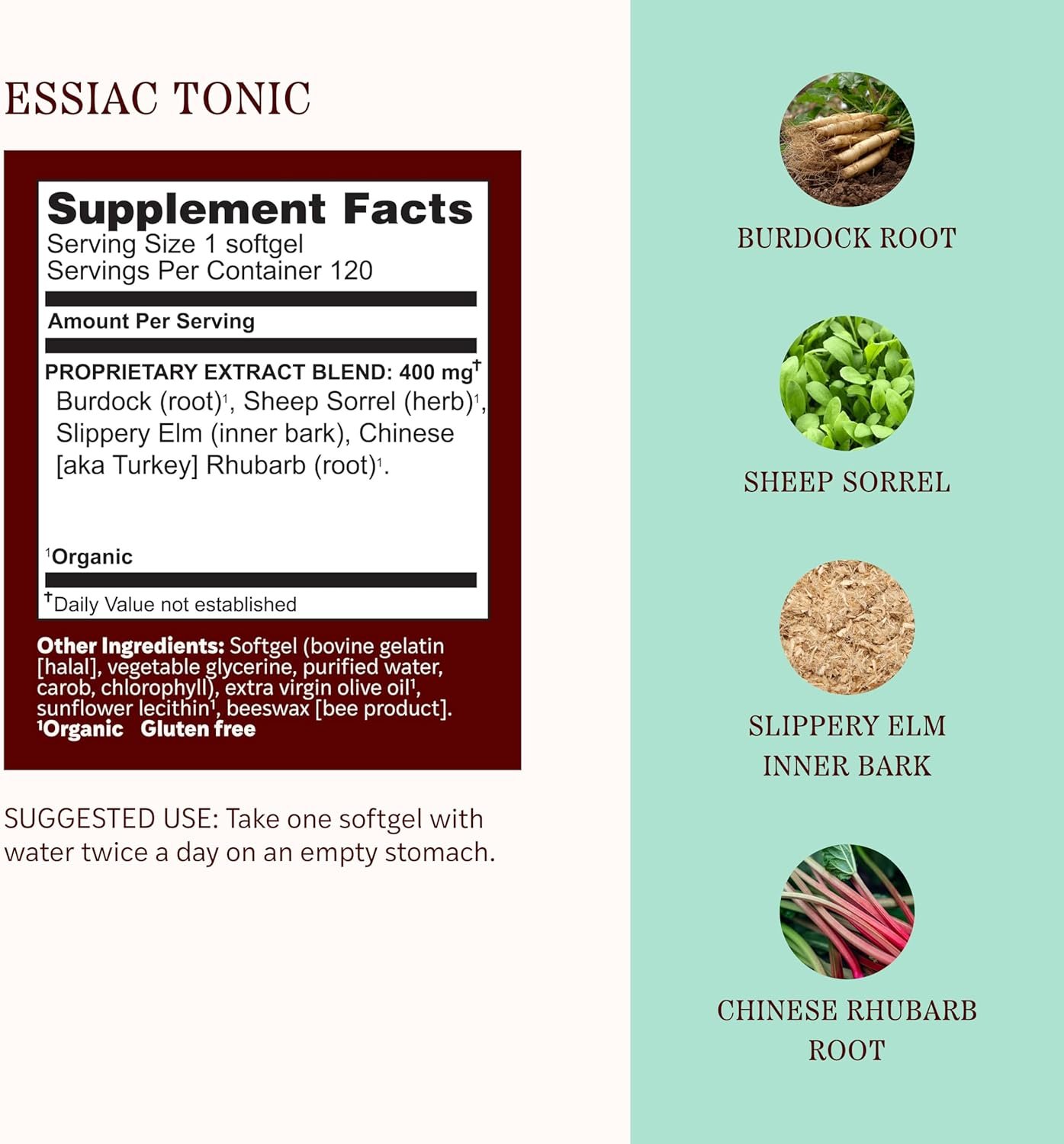 Herbs Etc. Essiac Tonic Softgels - Ojibwa Body Cleansing Formula - Detoxification & Immune Support - Organic & Gluten-Free - 120 Count (120 Servings) - Image 3