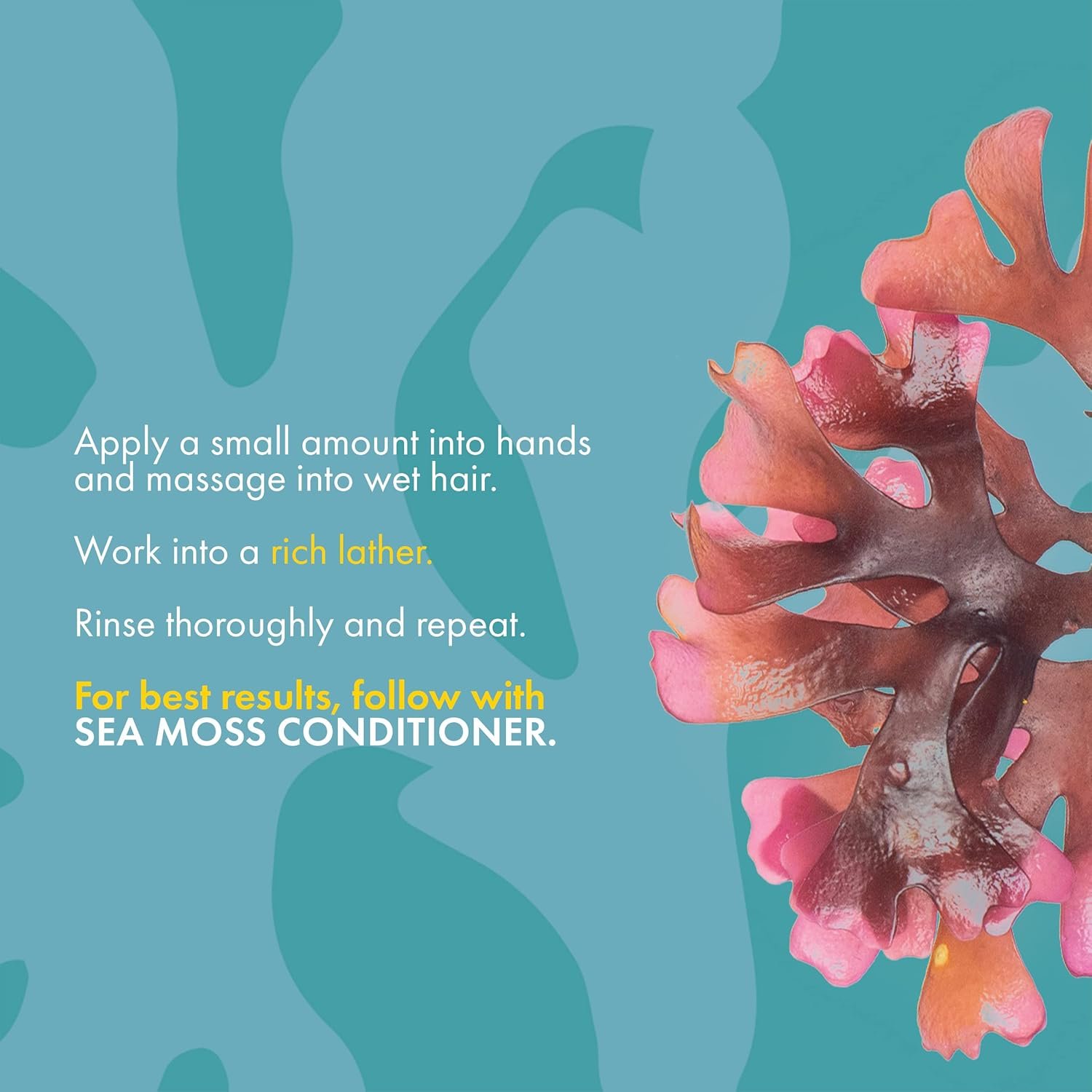 Mielle Organics Sea Moss Anti-Shedding Shampoo - Image 3