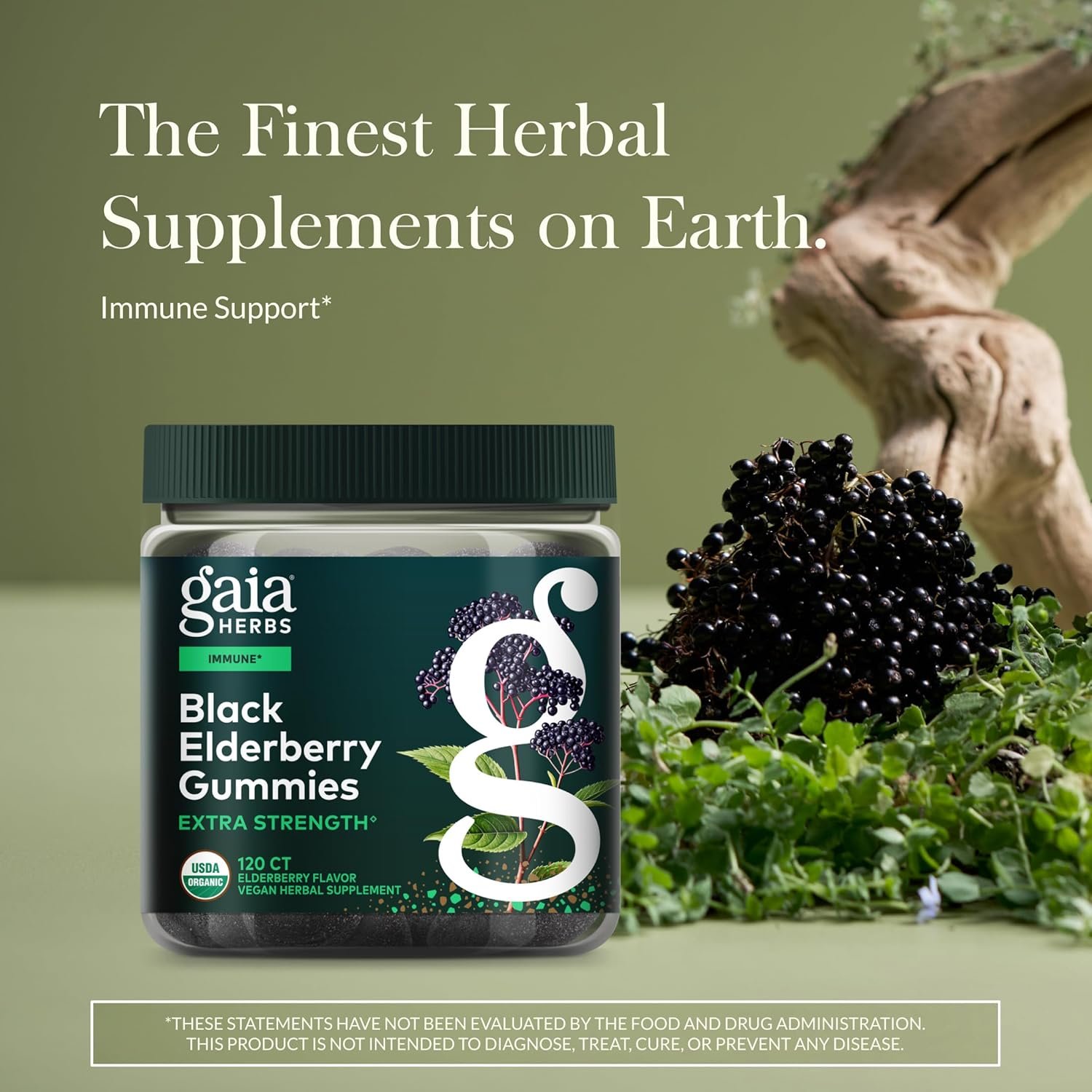 Gaia Herbs Black Elderberry (Sambucus nigra) Extra Strength Gummies - Delicious Immune Support Supplement* - Certified Organic Black Elderberries for Immune System Support* - 120 Gummies (60 Servings) - Image 2