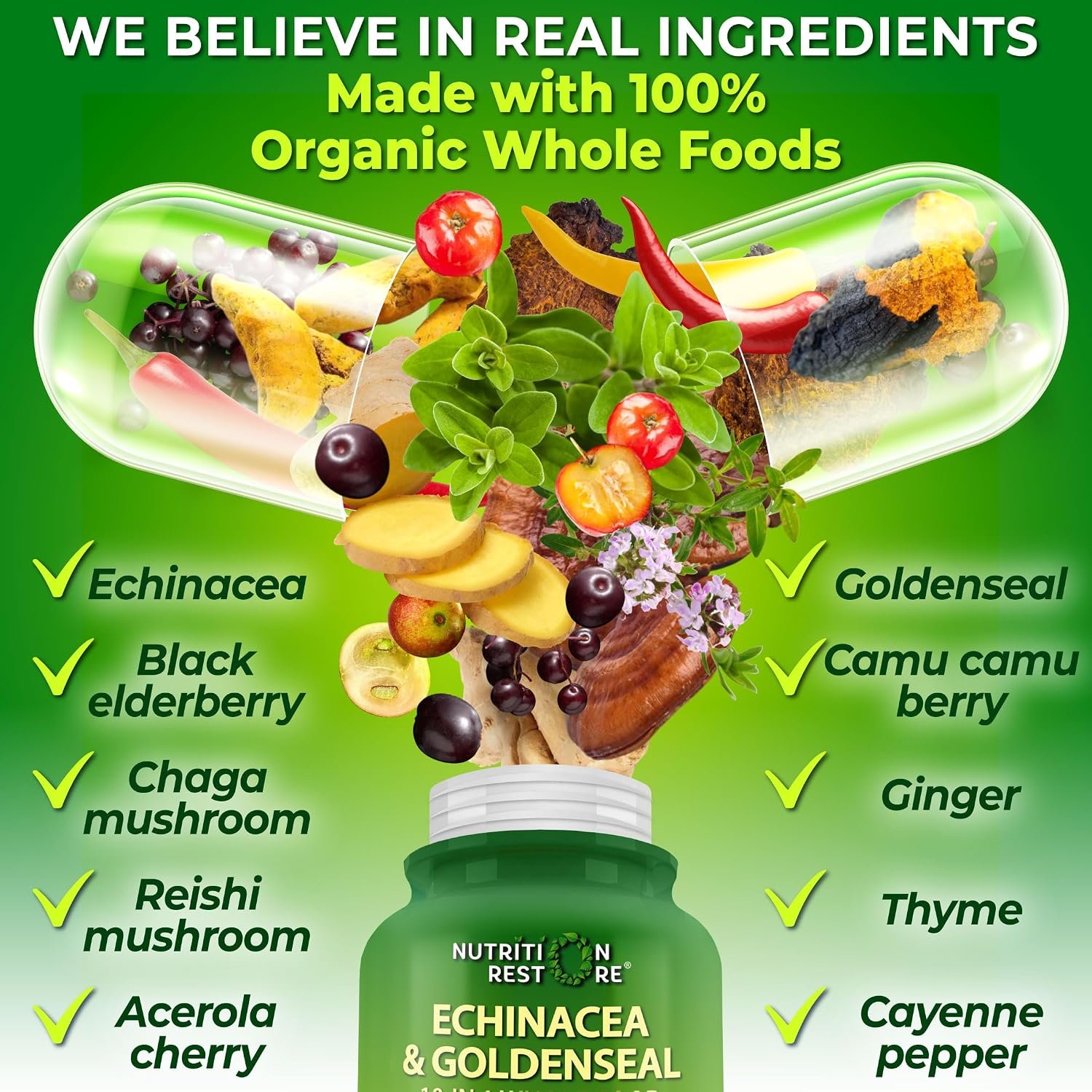 Echinacea Goldenseal Capsules - 10 in 1 Immune Support Supplement - 1455mg - Vegan Echinacea Capsules Supplement Made With Organic Whole Foods - Herbal Immune System Support - 2 Month Supply - Image 3