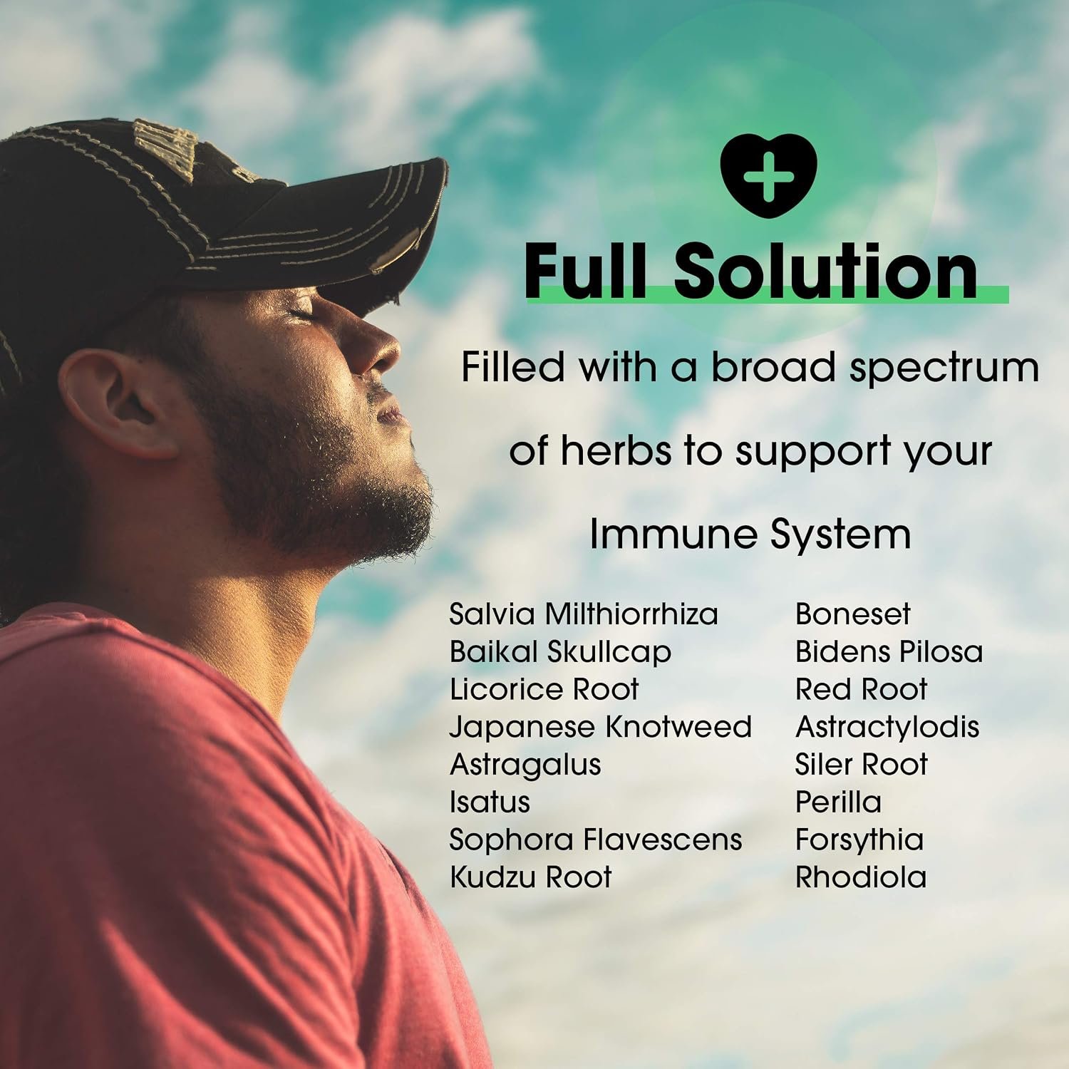 Samsara Herbs Herba-V Immune (4oz/114g) - Herbal Support Formula with 18 Powerful Herbal Extracts - Including Dan Shen, Skullcap, Licorice, Isatis, Resveratrol, Astragalus, Rhodiola and Kudzu - Image 3