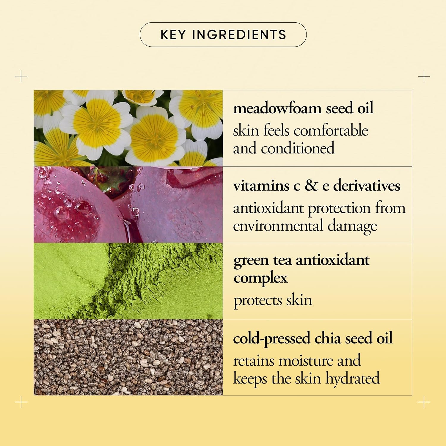 philosophy purity made simple pore face moisturizer - with vitamins C & E, green tea, meadowfoam seed oil & chia seed oil - ultra-light nourishing formula delivers 24-hour hydration - Image 2